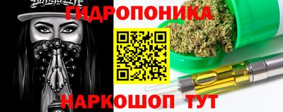 индика Можайск