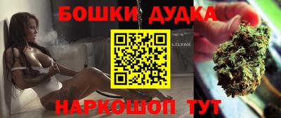 дживик Можга