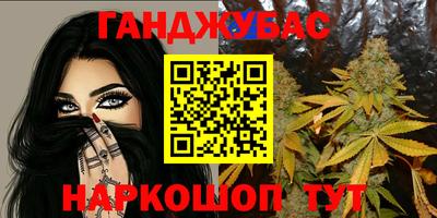 дживик Можга