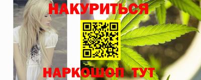 индика Можайск