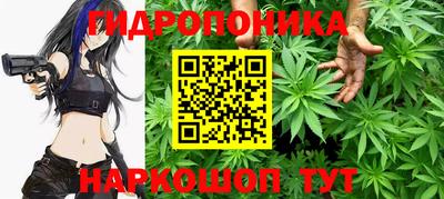 индика Можайск