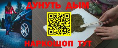 индика Можайск
